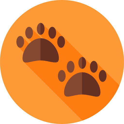 Animal track